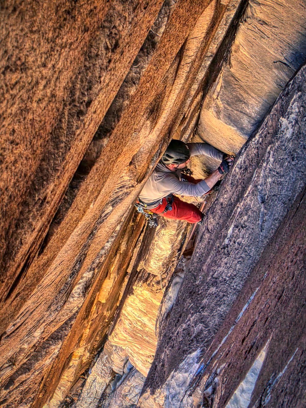 Epinephrine (5.9): A Comprehensive Trip Report for the Well